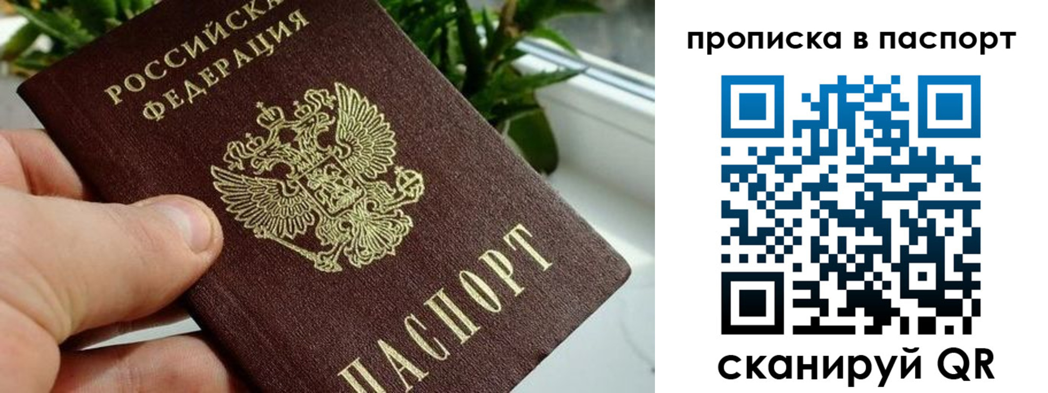 временная регистрация купить в Каменке