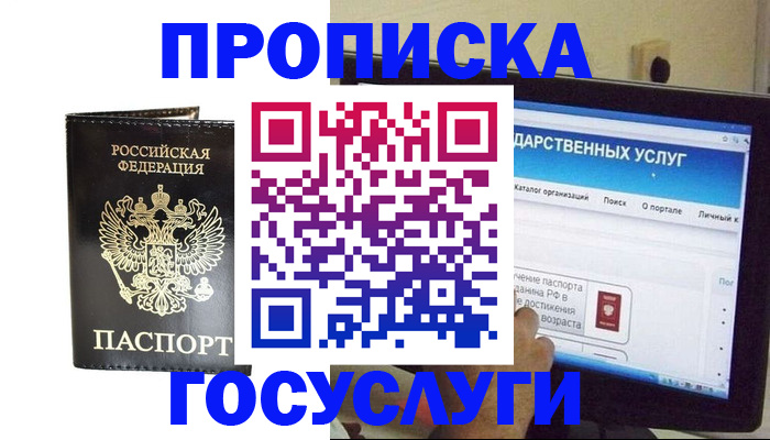 прописка гарантия в Каменке